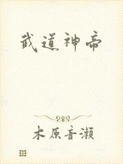 武道神帝