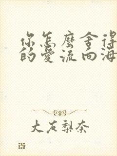 你怎么舍得让我的爱流向海