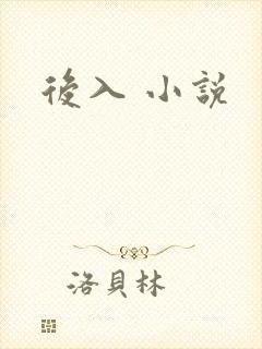 后入 小说