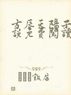 方辰天阳子的小说免费阅读