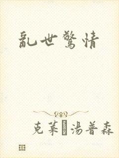 乱世惊情封面