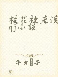 校花被老汉狂肉qj小说封面