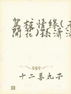 驾校情缘(老树开花)孙潇潇第一次趣笔阁封面