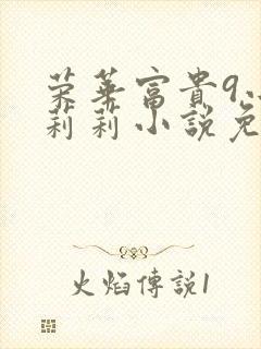 荣华富贵9小王莉莉小说免费阅读