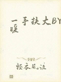 一手扶大BY泱暖封面