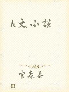 h文小说