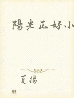 阳光正好小说
