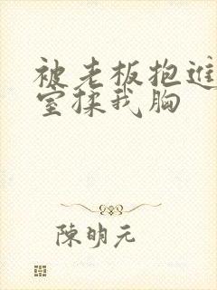 被老板抱进办公室揉我胸