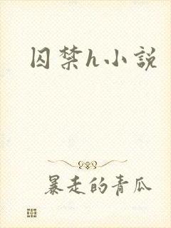 囚禁h小说