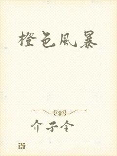 橙色风暴封面