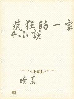 疯狂的一家ps4小说