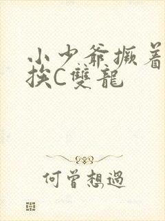 小少爷撅着屁股挨C双龙封面