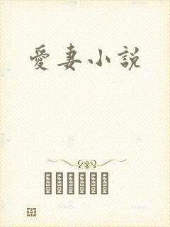 爱妻小说
