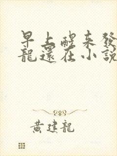 早上醒来发现巨龙还在小说封面