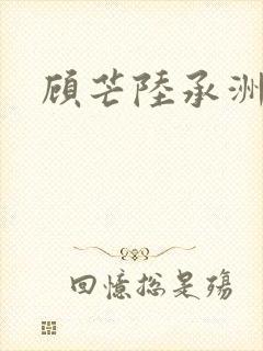 顾芒陆承洲