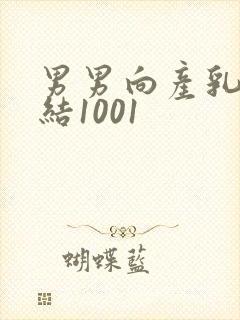 男男向产乳文小结1001封面