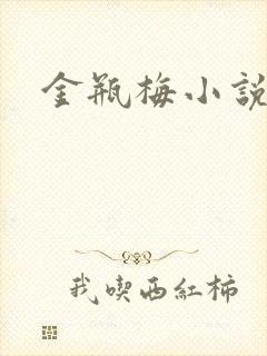 金瓶梅小说在线封面