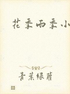 花季雨季小说