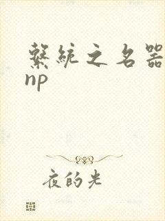 系统之名器攻略np