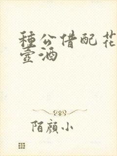 种公借配花间一壶酒