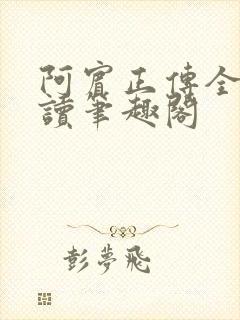 阿宾正传全文阅读笔趣阁封面