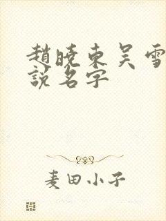 赵晓东吴雪晴小说名字封面
