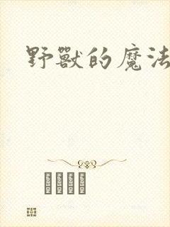 野兽的魔法师