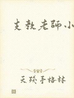 支教老师小说