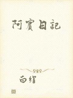 阿宾日记封面
