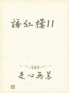 诱红楼11