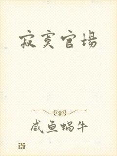 寂寞官场