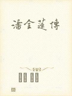 潘金莲传封面