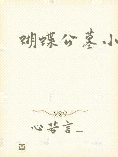 蝴蝶公墓小说