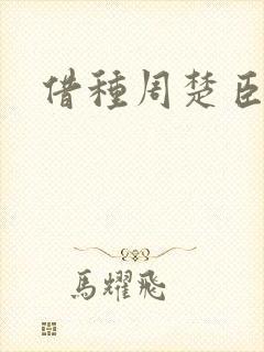 借种周楚臣封面