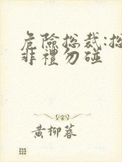 危险总裁:总裁非礼勿碰