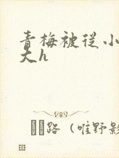 青梅被从小摸到大h封面