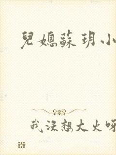 儿媳苏玥小说