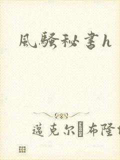 风骚秘书h封面