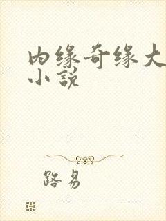 内缘奇缘大团圆小说
