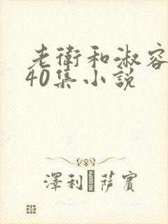 老卫和淑容1-40集小说