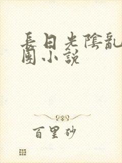 长日光阴乱作一团小说