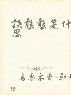 铁憨憨是什么意思