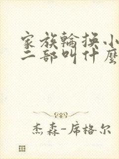 家族轮换小说第二部叫什么名字