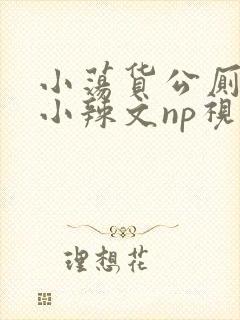 小荡货公厕h文小辣文np视频