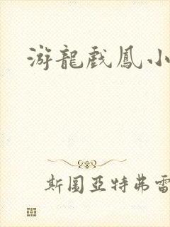 游龙戏凤小说