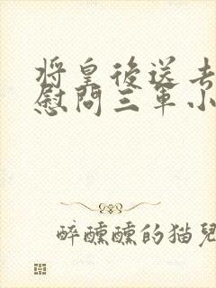 将皇后送去军营慰问三军小说封面