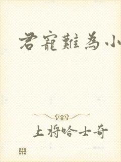 君宠难为小说
