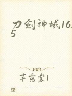 刀剑神域16.5
