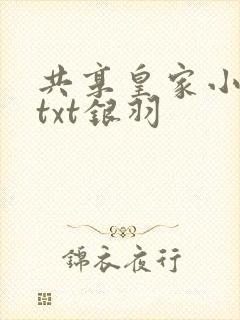 共享皇家小公主txt银羽