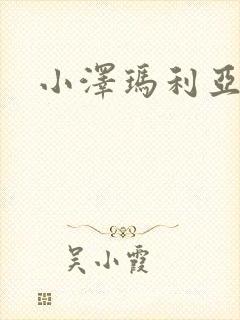 小泽玛利亚作品封面